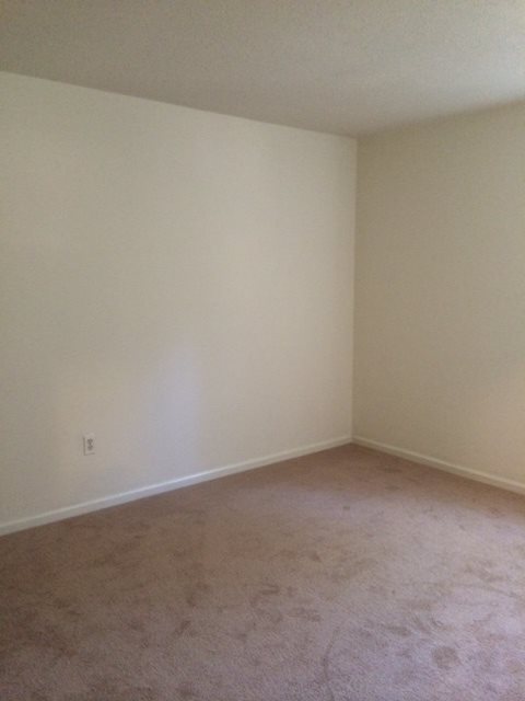 Gallery Photo 4